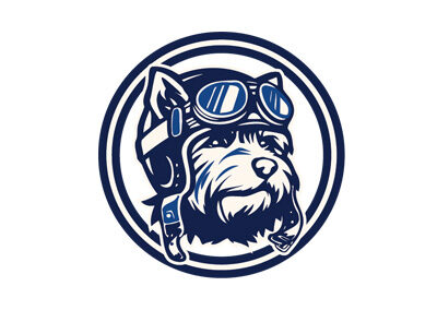 Animas Drone Services